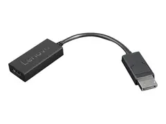 Lenovo - Video adapter - DisplayPort hann til HDMI hunn 22.5 cm - svart - 4K-støtte