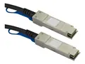 STARTECH.COM SFP+ Direct Attach Cable - MSA Compliant - 10 m 33 ft.