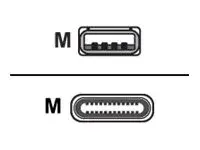 Huddly - USB-kabel - USB-type A (hann) rett til 24 pin USB-C (hann) vinklet USB 3.0 - 2 m - for IQ