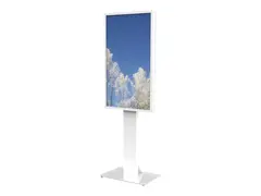 Floorstan P Sams QM55R glass decor Prot