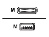 Huddly - USB-kabel - USB-type A (hann) til 24 pin USB-C (hann) USB 3.0 - 1.15 m
