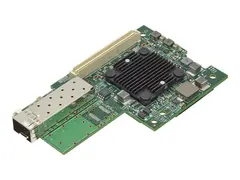 Broadcom NetXtreme E-Series M125P Nettverksadapter - PCIe - 25 Gigabit SFP28 x 1