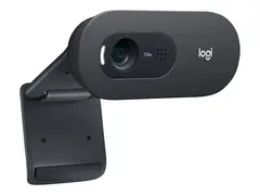 Logitech C505e - Nettkamera - farge - 720p fastfokal - lyd - USB