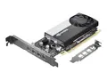 NVIDIA T1000 - Grafikkort - T1000 - 8 GB GDDR6 PCIe 3.0 x16 - 4 x Mini DisplayPort - brun boks - for ThinkStation P3; P3 Ultra; P340; P350; P358; P520; P620; P720; P920