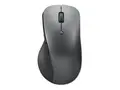 Lenovo Professional - Mus - ergonomisk bl&#229; optisk - 6 knapper - tr&#229;dl&#248;s - Bluetooth 5.1 - stormgr&#229;