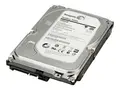 HP - Harddisk - 500 GB - intern 3.5&quot; - SATA 6Gb/s - 7200 rpm - buffer: 16 MB - for Workstation Z1 G5, Z2 G4, Z2 G5, Z2 G8, Z2 G9, Z238, Z4 G4, Z420, Z6 G4, Z620, Z640, Z8 G4
