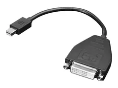 Lenovo - DisplayPort-adapter - enkeltlenke Mini DisplayPort (hann) til DVI-D (hunn) - 20 cm - for ThinkCentre M75t Gen 2; ThinkPad P51; ThinkStation P330 Gen 2; P34X; P350; P520; P620