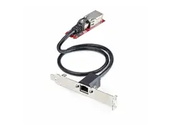 STARTECH.COM 1-Port 2.5GbE 2280m.2 Network Card NBASE-T PCIe Ethernet Intel