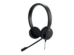 Jabra Evolve 20 MS stereo - Hodesett - on-ear kablet - USB-C, USB-A - lydisolerende - Certified for Microsoft Teams