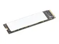 Lenovo - SSD - kryptert - 2 TB intern - M.2 2280 - PCIe 4.0 (NVMe) - TCG Opal Encryption 2.0 - for Legion T5 26; ThinkCentre M90q Gen 5; ThinkCentre neo Ultra 12; ThinkPad P1 Gen 7