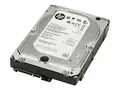 HP - Harddisk - 4 TB - intern - 3.5&quot; - SATA 6Gb/s 7200 rpm - buffer: 128 MB - for Workstation Z2 G4, Z2 G5, Z2 G8, Z2 G9, Z4 G4, Z4 G5, Z6 G4, Z8 G4, Z8 G5; ZCentral 4R