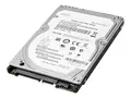 HP Enterprise - Harddisk - 1 TB 3.5&quot; - SATA 6Gb/s - 7200 rpm - for Workstation Z2 G4, Z2 G5, Z2 G8, Z2 G9, Z4 G4, Z440, Z6 G4, Z8 G4; ZCentral 4R (3.5&quot;)