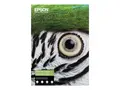Epson Fine Art - Bomull - matt 490 mikroner - jevn klarhet - A2 (420 x 594 mm) - 300 g/m&#178; - 25 ark klutepapir - for SureColor SC-P20000, SC-P6000, SC-P7000, SC-P800, SC-P8000, SC-P900, SC-P9000