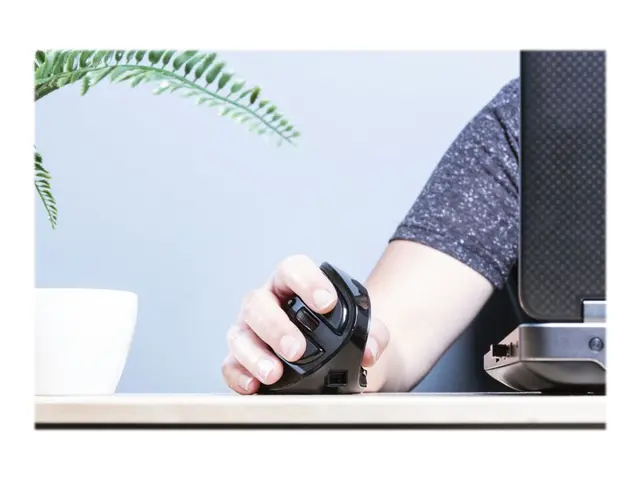 Trust Voxx - Vertikal mus - ergonomisk - høyrehendt - optisk - 9 k...