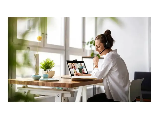 Jabra Evolve2 50 MS Stereo - Hodesett on-ear kablet aktiv støydemp...