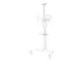 Neomounts - Monteringskomponent (hylle, kamerahylle, hylle for kameraadapter, skinne) for kamera / medieboks - hvit - vognmonterbar - for P/N: FL50S-825WH1