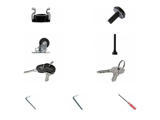 Startech 15U 19" Server Rack Cabinet, 4 Post Adjustable Depth (6-3...