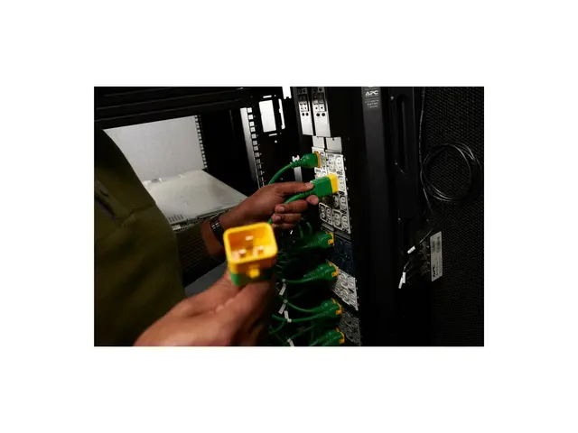 APC NetShelter Rack PDU Advanced - Strømfordelerenhet (kan montere...