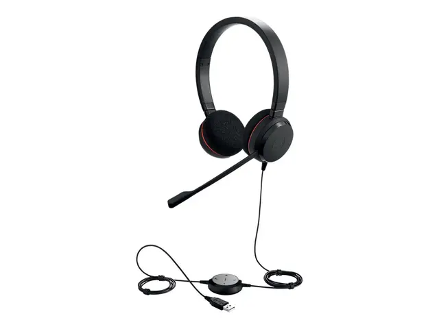 Jabra Evolve 20 MS stereo - Hodesett - on-ear - kablet - USB - Cer...