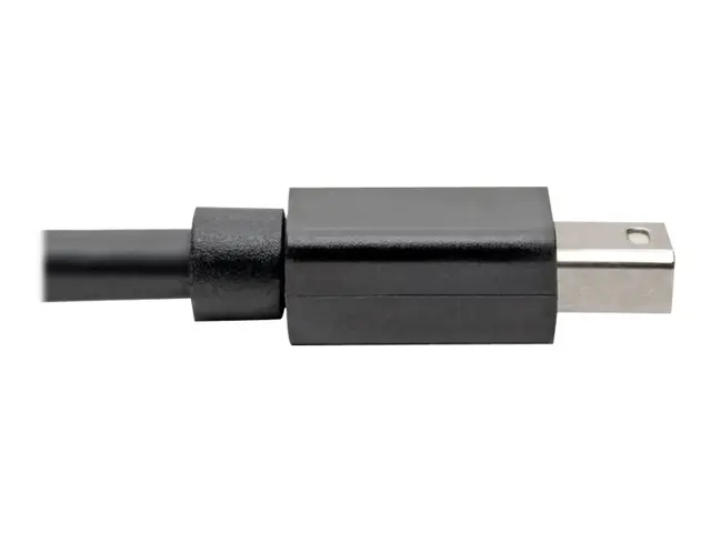 Eaton Tripp Lite Series HDMI Cable Lock Clamp Tie Screw for HDTVs ...