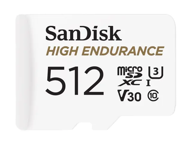 SanDisk High Endurance - Flashminnekort (microSDXC til SD-adapter ...