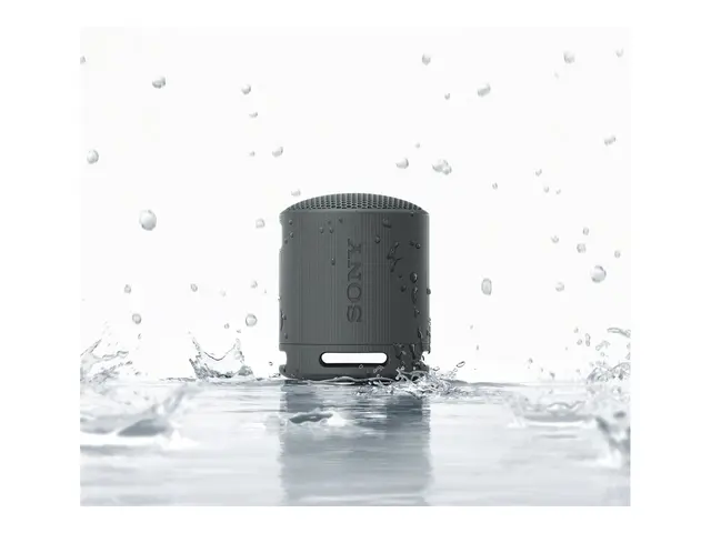 Sony SRS-XB100 - Høyttaler for bærbar bruk trådløs Bluetooth Appst...