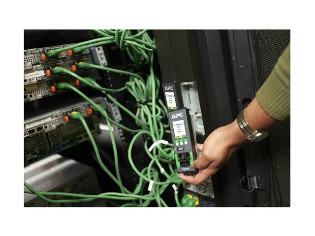 APC NetShelter Rack PDU Advanced - Strømfordelerenhet (kan montere...