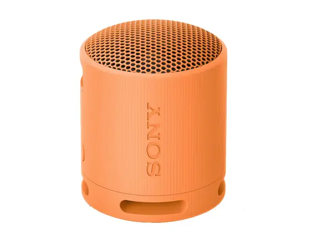 Sony SRS-XB100 - Høyttaler for bærbar bruk trådløs Bluetooth Appst...