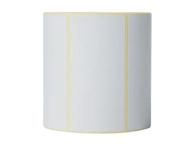 Brother - Hvit 102 x 50 mm 1050 etikett(er) (1 rull(er) stanseskår...