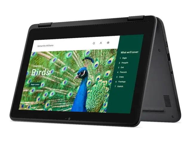 Dell Chromebook 3120 2in1 (2024) - 11.6" Intel N-series N100 4 GB ...