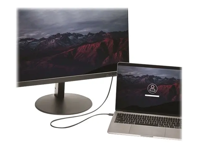 StarTech.com 3ft/1m USB C to DisplayPort 1.2 Cable 4K 60Hz, USB-C ...