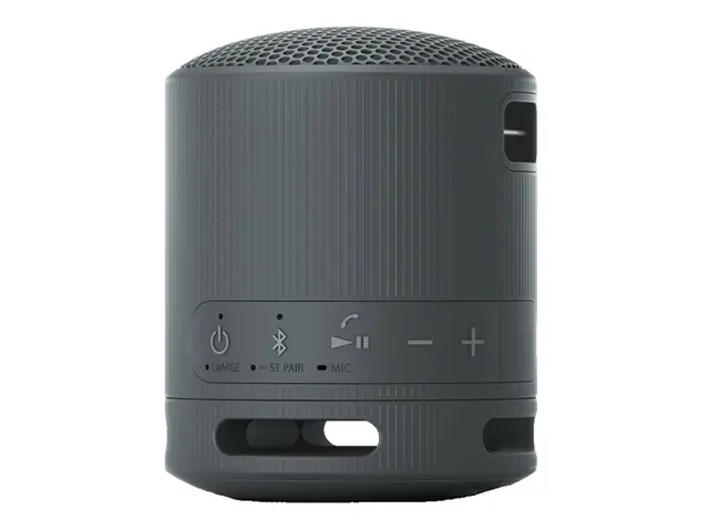 Sony SRS-XB100 - Høyttaler for bærbar bruk trådløs Bluetooth Appst...