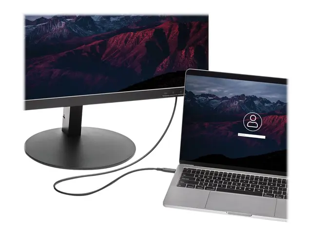 StarTech.com 1m / 3.3ft USB-C to Mini DisplayPort Cable - 4K 60Hz ...