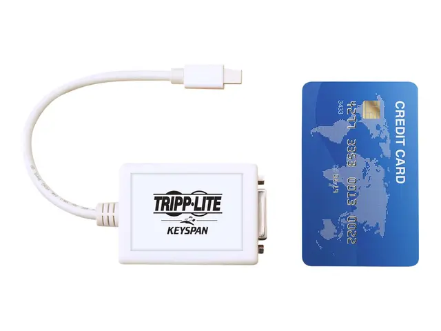 Eaton Tripp Lite Series 6in Mini DisplayPort to DVI Adapter Conver...