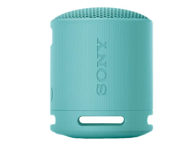 Sony SRS-XB100 - Høyttaler for bærbar bruk trådløs Bluetooth Appst...