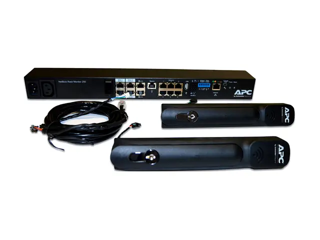 APC NetBotz Rack Monitor 250 - Miljøovervåkingsenhet - 100Mb LAN -...