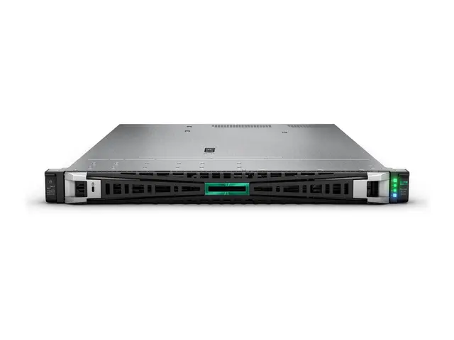 HPE ProLiant DL365 Gen11 - rackmonterbar EPYC 9124 3 GHz 64 GB SSD...