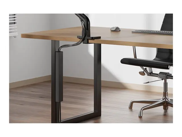 Neomounts - Kabeldekke magnetic fixture, universal svart
