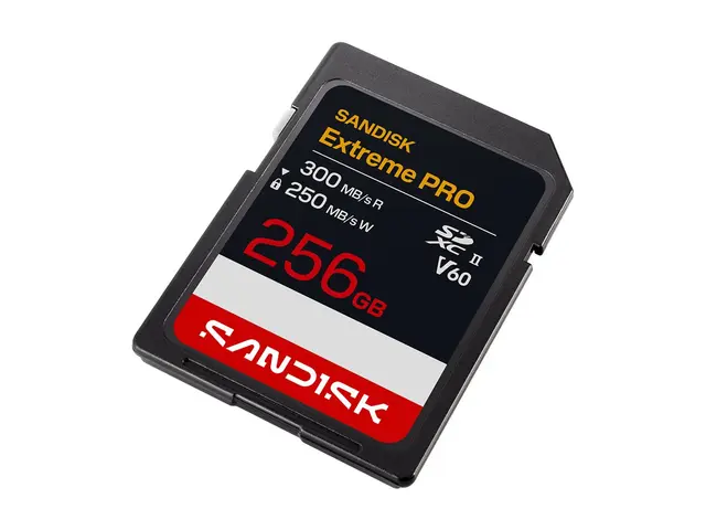 SanDisk Extreme PRO - Flashminnekort - 256 GB - Video Class V60 / ...