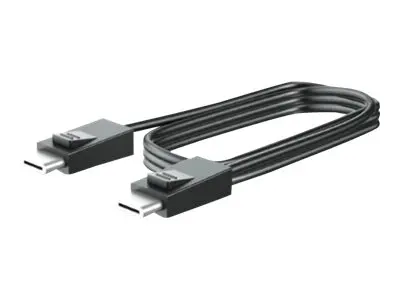 HP - DisplayPort-kabel - DisplayPort (hann) til DisplayPort (hann)...