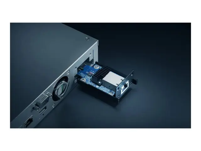 Synology E10G22-T1-Mini - Utvidelsesmodul 100M/1G/2.5G/5G/10 Gigab...