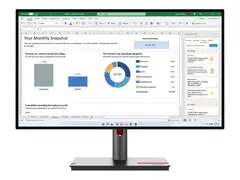 Lenovo ThinkVision P27h-30 - LED-skjerm 27&quot; - 2560 x 1440 QHD @ 60 Hz - IPS - 350 cd/m&#178; - 1000:1 - 4 ms - HDMI, DisplayPort, USB-C - ravnsort