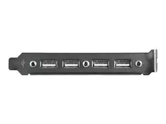 StarTech.com 4 Port USB A Female Slot Plate Adapter USB panel - 4 pin USB Type A (F) (USBPLATE4) - USB-panel - USB (hunn) til 9-pins IDC (hunn)