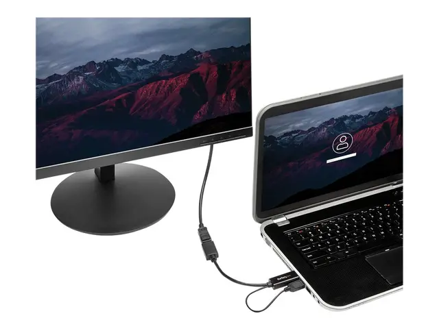 StarTech.com 4K 30Hz HDMI to DisplayPort Video Adapter w/ USB Powe...