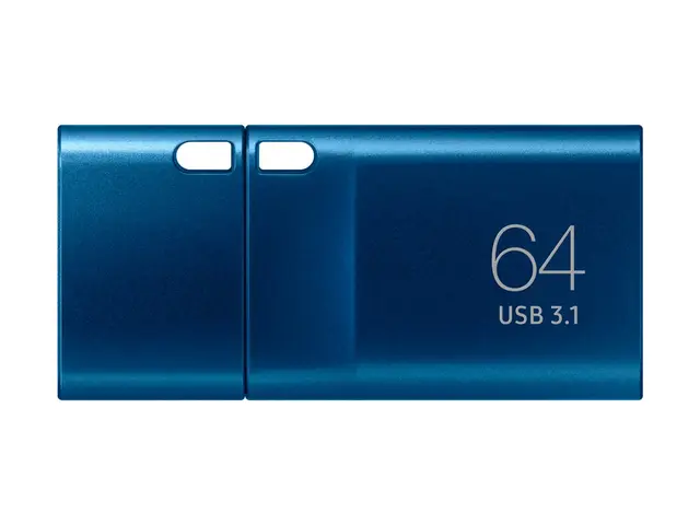 Samsung MUF-64DA - USB-flashstasjon 64 GB USB-C 3.2 Gen 1 blå