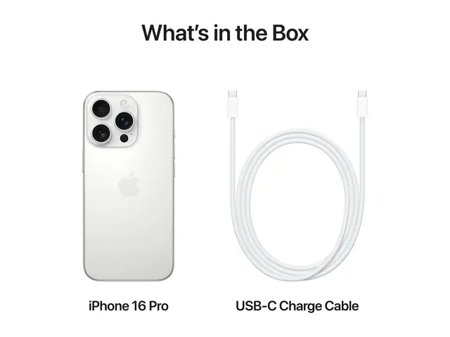 Apple iPhone 16 Pro - Hvit titan 256 GB - Garanti 2 år 