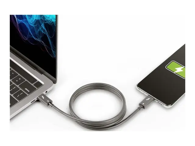 StarTech.com 3ft (1m) Thunderbolt 4 Cable, 40Gbps, 100W Power Deli...