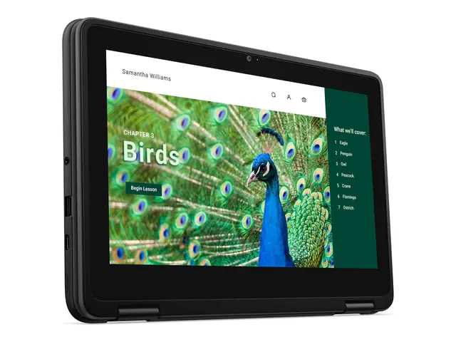 Dell Chromebook 3120 (2024) - 11.6" Intel N-series N100 4 GB RAM 6...