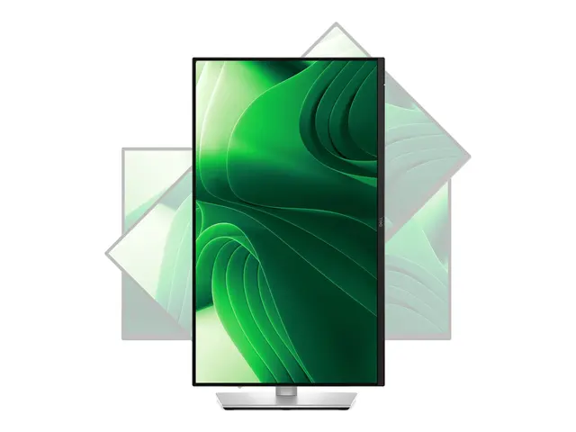 Dell Pro 24 Plus QHD USB-C Hub Monitor P2425DE - LED-skjerm 24"