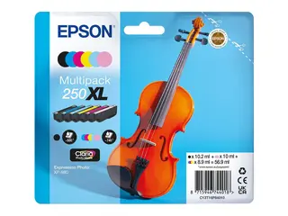 Epson 250XL Multipack - 6-pack - XL - svart, gul, cyan, magenta, lys cyan, lys magenta original - blister - blekkpatron - for P/N: C11CL95402